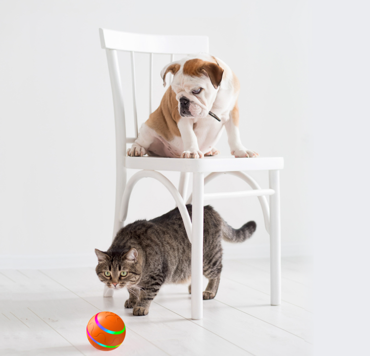 PeteBall⢠Intelligent RC Pet Toy Ball