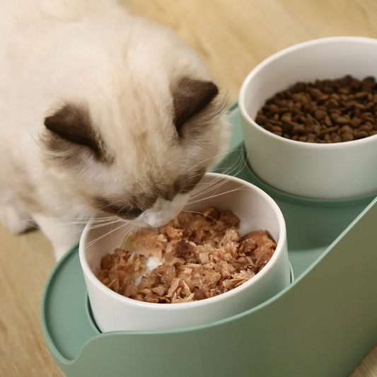 UPetLine™ Luxury Ceramic Pets Double Bowl Food