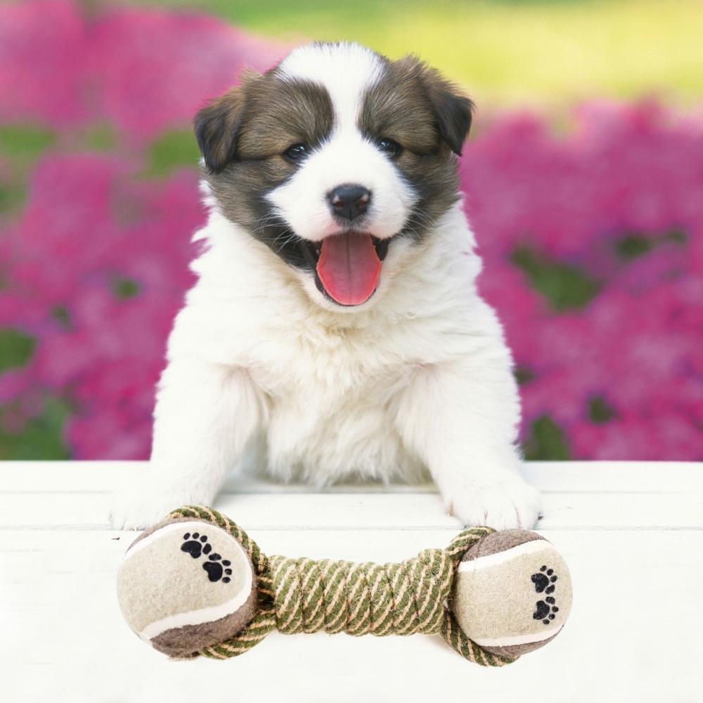 Dogs Cotton Rope Toy