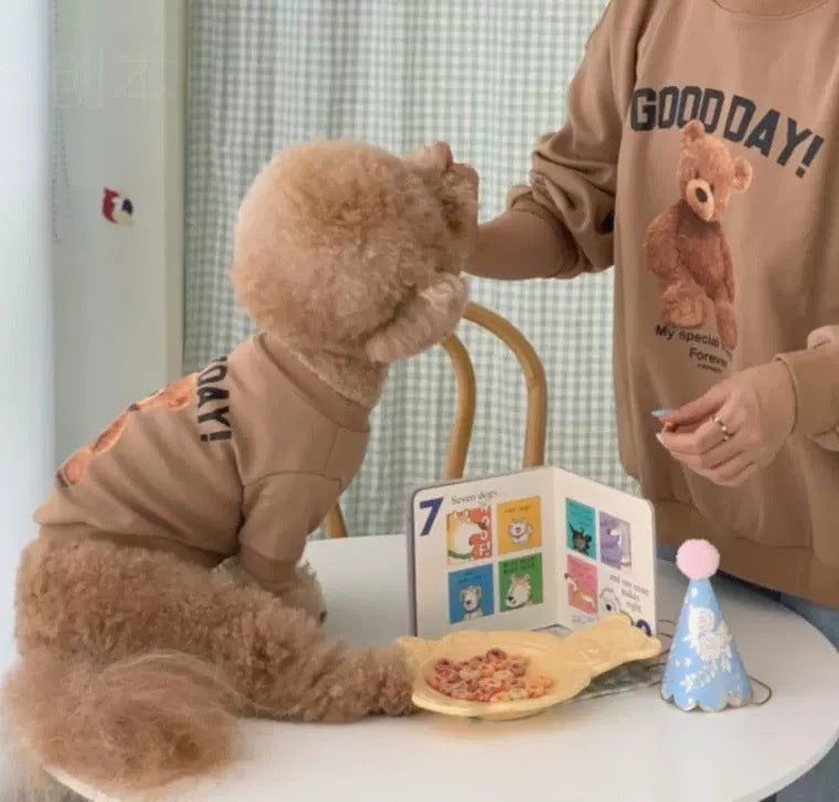 Comfortable Cute Bear Dog Clothes