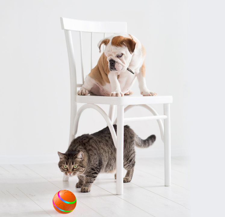 PeteBall™ Intelligent RC Pet Toy Ball