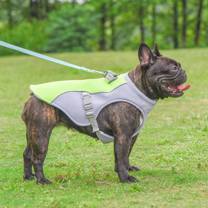 ChillPup™ Summer Dog Cooling Vest with Breathable Mesh